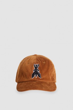 Patrizia Pepe Cotton Baseball Cap Beige | FIPC-96508