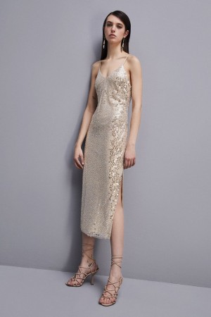 Patrizia Pepe Hand-embroidered Tulle Dress Beige | NGFQ-46879