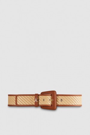 Patrizia Pepe High Waist Fabric Belt Marroni | YEHN-02476