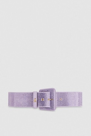 Patrizia Pepe High-waisted Belt With Rhinestones Rosa | ONMA-12490