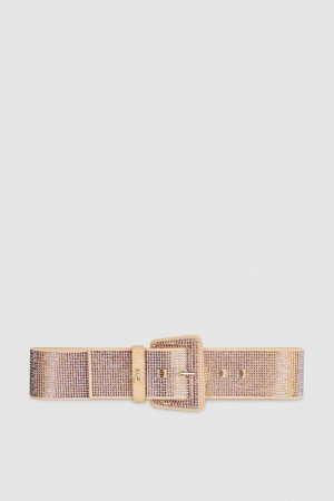 Patrizia Pepe High-waisted Belt With Rhinestones Rosa | ZWEJ-47802