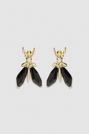 Patrizia Pepe Precious Fly Earrings With Stones Nere | ULPC-08576