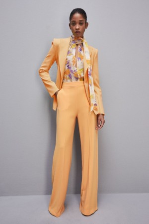 Patrizia Pepe Sablè Crepe Palazzo Pants Arancioni | KWEH-71438