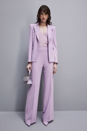 Patrizia Pepe Sablè Crepe Palazzo Pants Viola | ADEY-76321